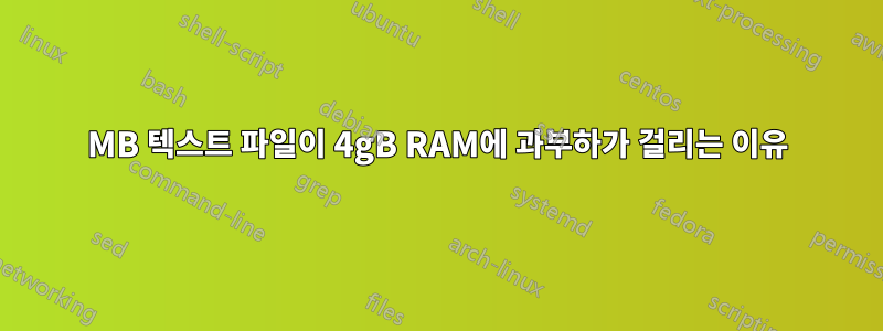 200MB 텍스트 파일이 4gB RAM에 과부하가 걸리는 이유