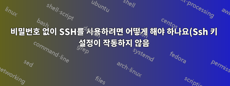 비밀번호 없이 SSH를 사용하려면 어떻게 해야 하나요(Ssh 키 설정이 작동하지 않음)?