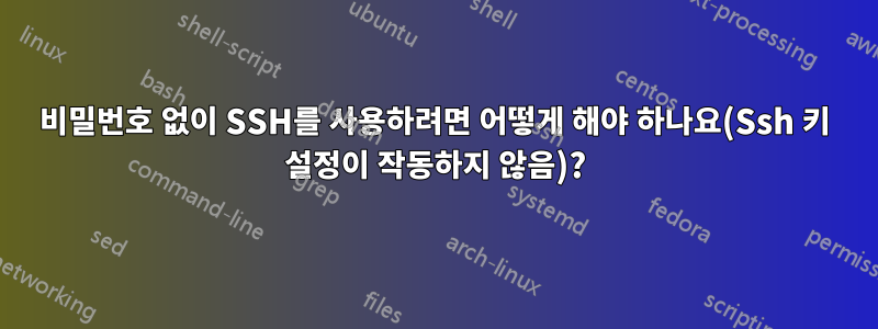 비밀번호 없이 SSH를 사용하려면 어떻게 해야 하나요(Ssh 키 설정이 작동하지 않음)?