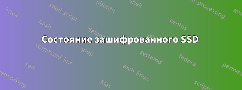 Состояние зашифрованного SSD