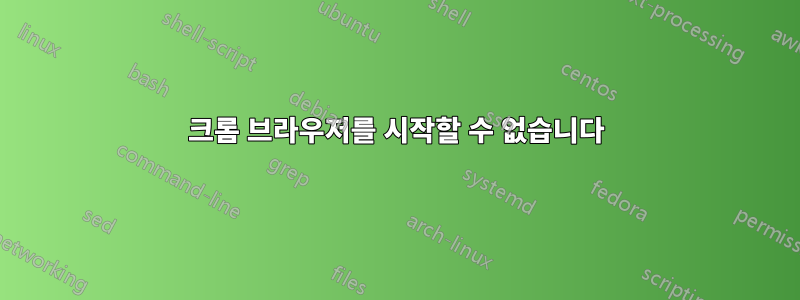 크롬 브라우저를 시작할 수 없습니다
