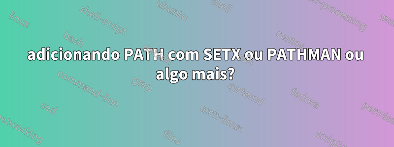 adicionando PATH com SETX ou PATHMAN ou algo mais?