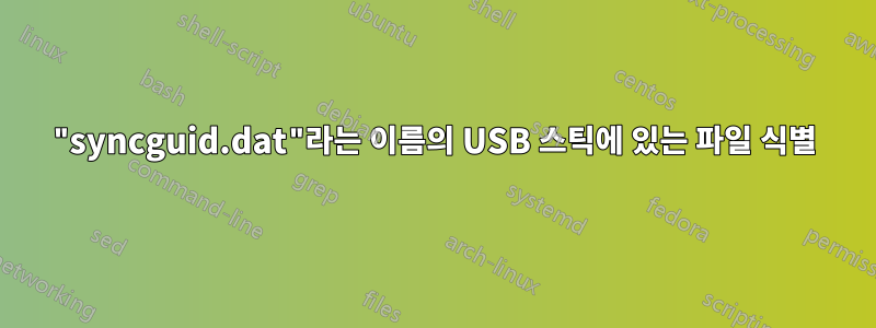 "syncguid.dat"라는 이름의 USB 스틱에 있는 파일 식별