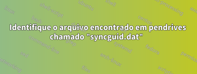 Identifique o arquivo encontrado em pendrives chamado "syncguid.dat"