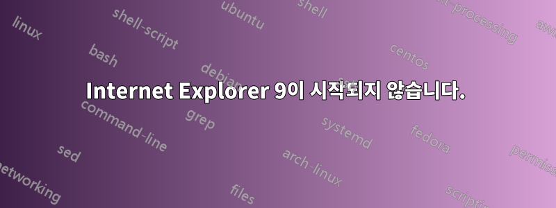 Internet Explorer 9이 시작되지 않습니다.