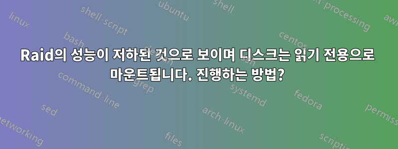 Raid의 성능이 저하된 것으로 보이며 디스크는 읽기 전용으로 마운트됩니다. 진행하는 방법?