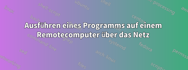 Ausführen eines Programms auf einem Remotecomputer über das Netz