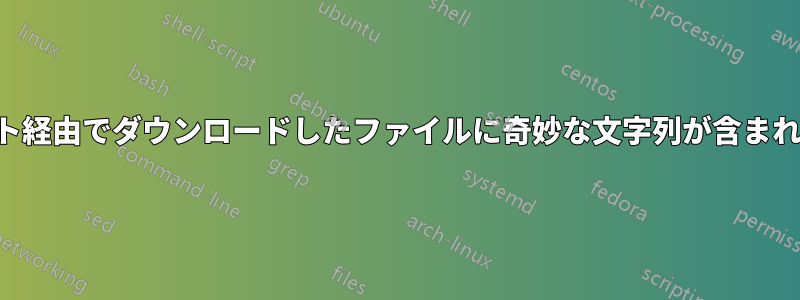 トレント経由でダウンロードしたファイルに奇妙な文字列が含まれている