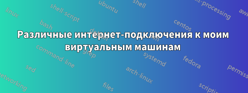 Различные интернет-подключения к моим виртуальным машинам