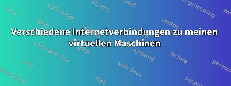 Verschiedene Internetverbindungen zu meinen virtuellen Maschinen