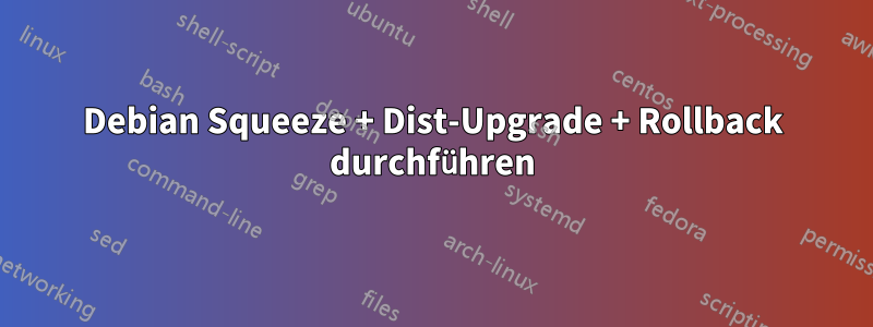 Debian Squeeze + Dist-Upgrade + Rollback durchführen