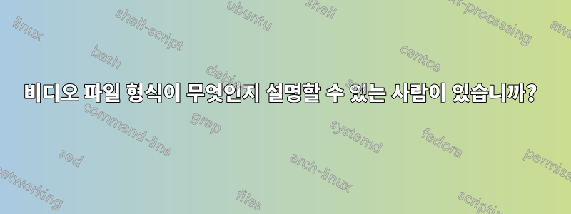 비디오 파일 형식이 무엇인지 설명할 수 있는 사람이 있습니까? 