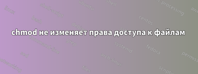 chmod не изменяет права доступа к файлам
