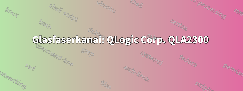 Glasfaserkanal: QLogic Corp. QLA2300