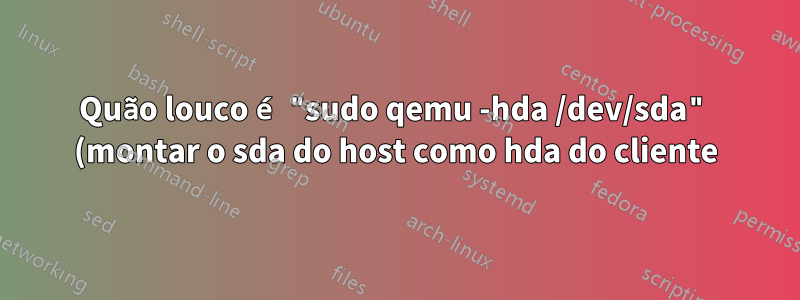 Quão louco é "sudo qemu -hda /dev/sda" (montar o sda do host como hda do cliente)?