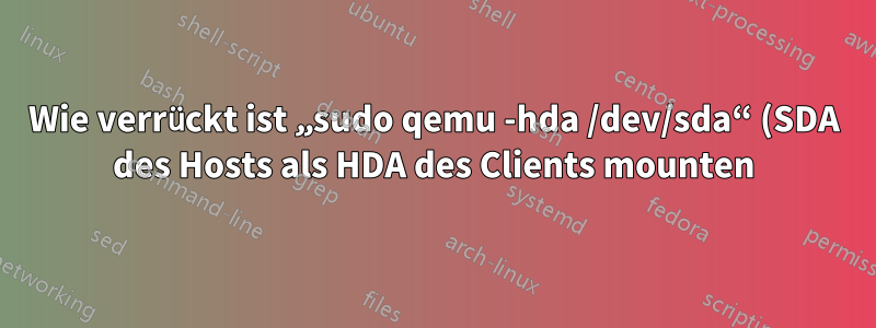 Wie verrückt ist „sudo qemu -hda /dev/sda“ (SDA des Hosts als HDA des Clients mounten)?