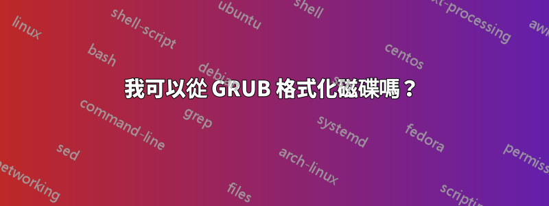 我可以從 GRUB 格式化磁碟嗎？