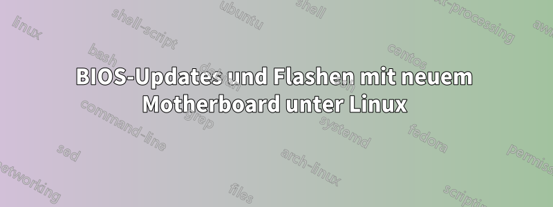 BIOS-Updates und Flashen mit neuem Motherboard unter Linux