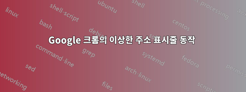 Google 크롬의 이상한 주소 표시줄 동작