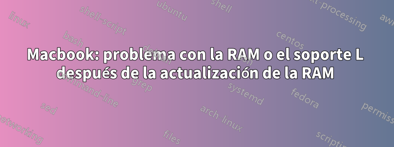 Macbook: problema con la RAM o el soporte L después de la actualización de la RAM