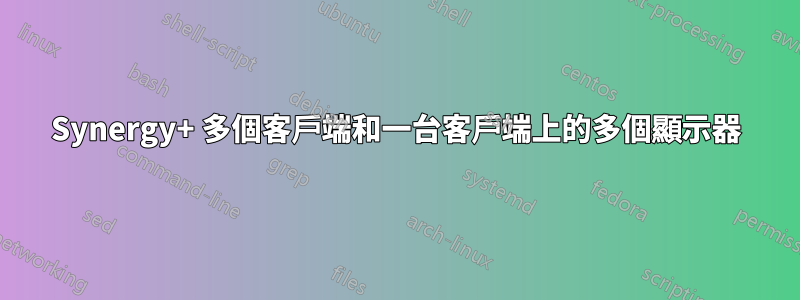Synergy+ 多個客戶端和一台客戶端上的多個顯示器