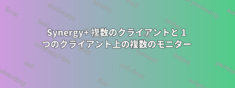 Synergy+ 複数のクライアントと 1 つのクライアント上の複数のモニター