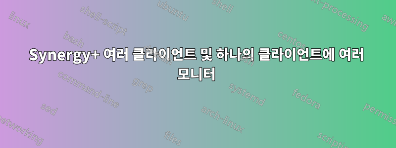Synergy+ 여러 클라이언트 및 하나의 클라이언트에 여러 모니터