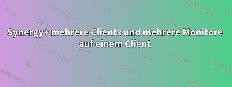 Synergy+ mehrere Clients und mehrere Monitore auf einem Client