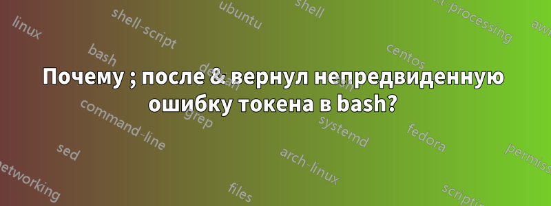 Почему ; после & вернул непредвиденную ошибку токена в bash?