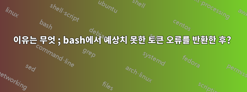 이유는 무엇 ; bash에서 예상치 못한 토큰 오류를 반환한 후?
