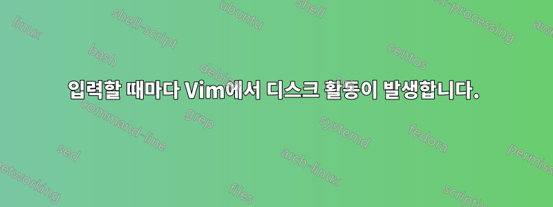입력할 때마다 Vim에서 디스크 활동이 발생합니다.