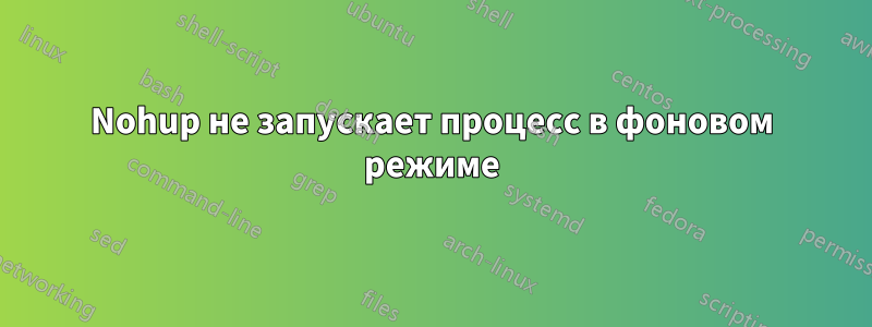 Nohup не запускает процесс в фоновом режиме