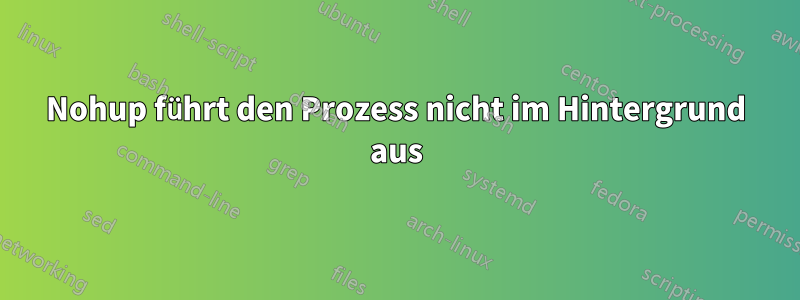 Nohup führt den Prozess nicht im Hintergrund aus