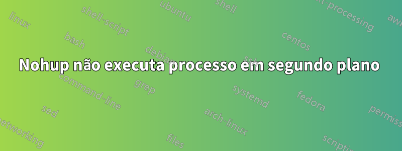 Nohup não executa processo em segundo plano