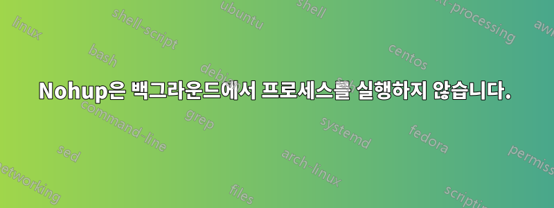 Nohup은 백그라운드에서 프로세스를 실행하지 않습니다.