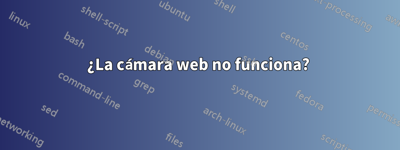 ¿La cámara web no funciona?