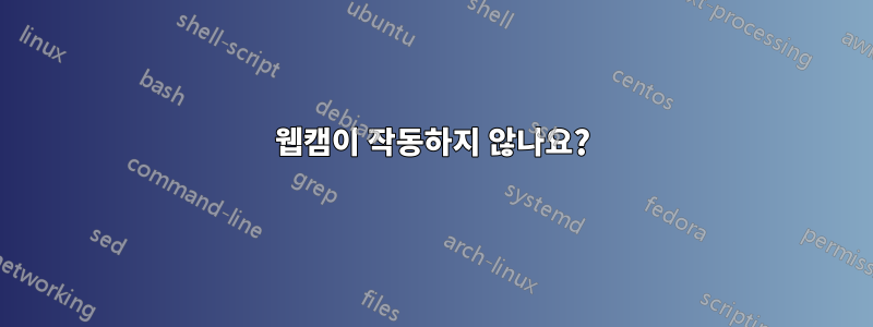 웹캠이 작동하지 않나요?