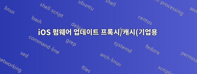 iOS 펌웨어 업데이트 프록시/캐시(기업용)