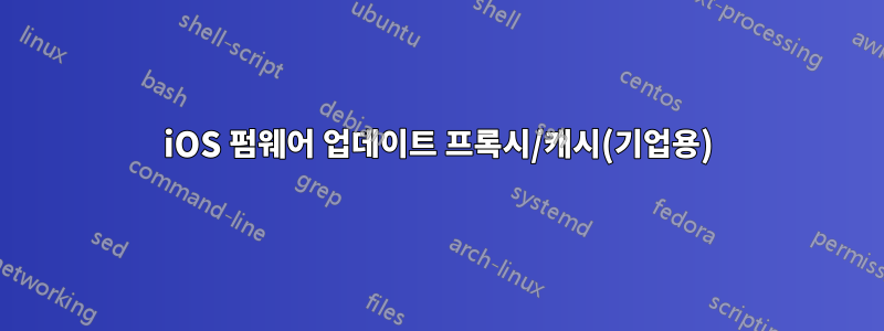 iOS 펌웨어 업데이트 프록시/캐시(기업용)