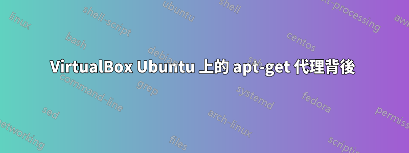 VirtualBox Ubuntu 上的 apt-get 代理背後