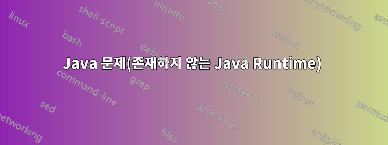 Java 문제(존재하지 않는 Java Runtime)