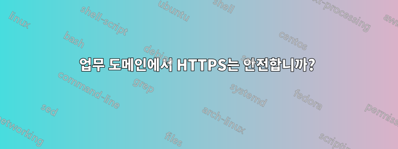 업무 도메인에서 HTTPS는 안전합니까?
