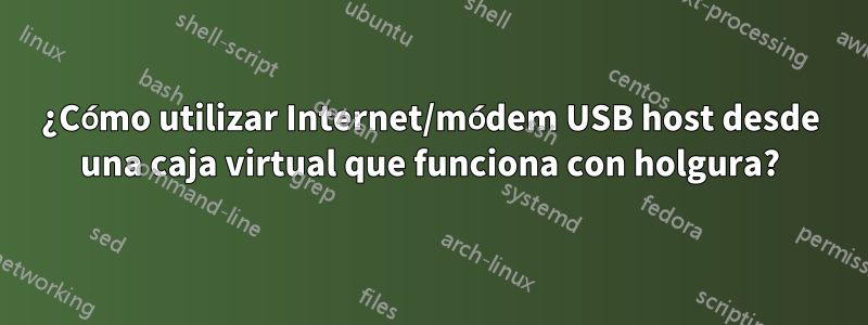 ¿Cómo utilizar Internet/módem USB host desde una caja virtual que funciona con holgura?