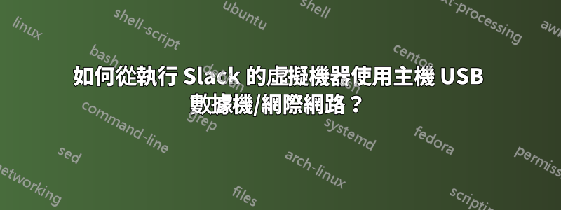 如何從執行 Slack 的虛擬機器使用主機 USB 數據機/網際網路？