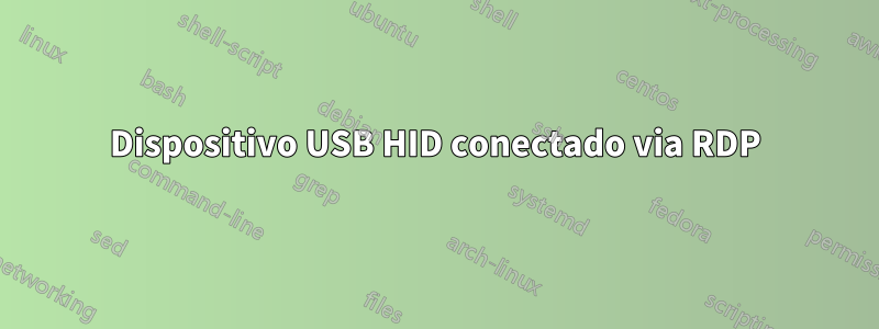 Dispositivo USB HID conectado via RDP