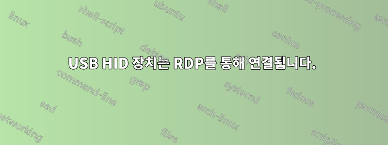 USB HID 장치는 RDP를 통해 연결됩니다.