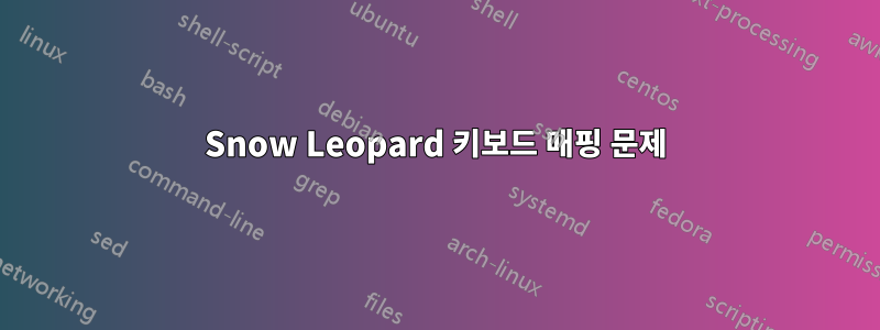 Snow Leopard 키보드 매핑 문제
