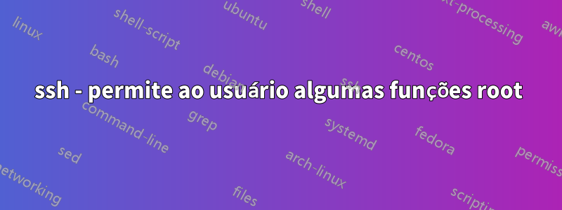 ssh - permite ao usuário algumas funções root