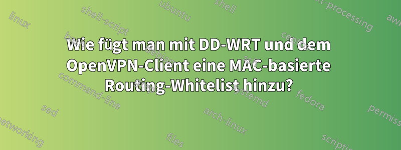 Wie fügt man mit DD-WRT und dem OpenVPN-Client eine MAC-basierte Routing-Whitelist hinzu?