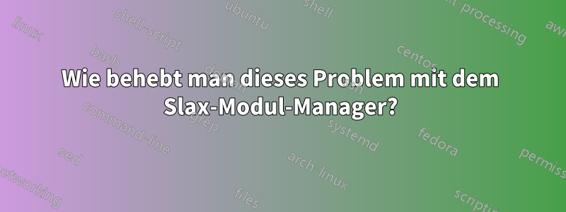 Wie behebt man dieses Problem mit dem Slax-Modul-Manager?